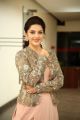 Actress Mehreen Kaur Pirzada Images @ Chanakya Movie Interview