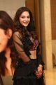 Actress Mehreen Pirzada New Photos @ Kavacham Teaser Launch