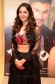 Actress Mehrene Kaur Pirzada in Embellished Crop Top With Black Lehenga Photos