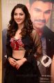 Actress Mehreen Pirzada Photos in Embellished Crop Top With Black Lehenga