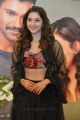 Actress Mehreen Kaur Pirzada New Photos in Embellished Crop Top With Black Lehenga