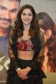 Actress Mehreen Kaur Pirzada New Photos @ Kavacham Teaser Launch