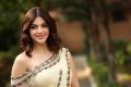 Entha Manchivaadavuraa Heroine Mehreen Pirzada Interview Images