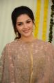 Actress Mehreen Kaur Pirzada Latest Images @ Gopichand 25th Film Opening