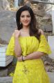 NOTA Movie Actress Mehreen Pirzada Latest Images