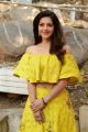 Mehreen Pirzada Latest Images @ NOTA Movie Launch