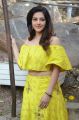 Actress Mehreen Pirzada Latest Images @ NOTA Movie Pooja