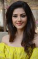 Mehreen Pirzada Latest Images @ NOTA Telugu Movie Launch