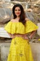 Mehreen Pirzada Latest Images @ NOTA Movie Launch