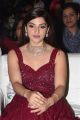 Actress Mehreen Kaur Pirzada Latest Pics @ Entha Manchivaadavuraa Pre Release