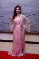 NOTA Movie Actress Mehreen Pirzada Latest Pics