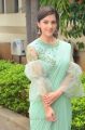 Pantham Movie Actress Mehreen Pirzada Saree Photos