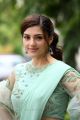 Pantham Movie Actress Mehreen Pirzada Saree Photos