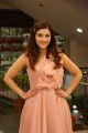 Actress Mehreen Pirzada @ Pantham Success Meet Stills