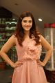 Actress Mehreen Pirzada @ Pantham Success Meet Stills