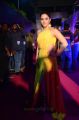 Actress Mehreen Kaur Stills @ Zee Telugu Apsara Awards 2018 Red Carpet