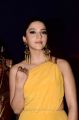 Actress Mehreen Kaur Pirzada Stills @ Zee Apsara Awards 2018 Red Carpet