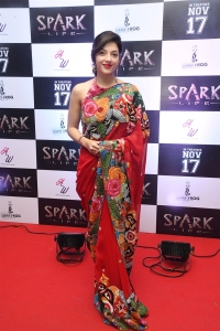 Spark Movie Actress Mehreen Pirzada Pics