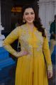 Actress Mehrene Kaur Pirzada in Yellow Dress Photos