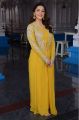 Actress Mehreen Pirzada in Yellow Dress Photos