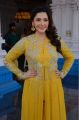 Actress Mehrene Kaur Pirzada in Yellow Dress Photos