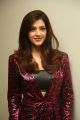 Actress Mehrene Kaur Pirzada Photos @ F2 Fun & Frustration Press Meet