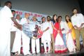 Mei Maranthen Movie Audio Launch Stills