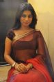Telugu Actress Mithuna Hot Photos in Saree