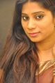 Telugu Actress Mithuna Hot Photos in Saree