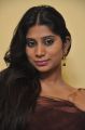 Actress Midhuna Waliya Hot Photos in Saree