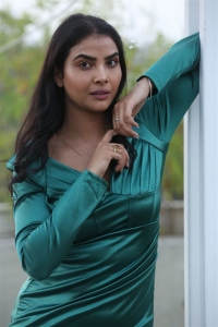 Actress Meenakshi Goswamy Photos