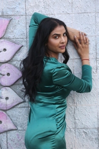 Actress Meenakshi Goswamy Photos