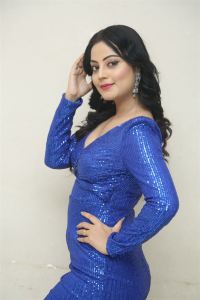 Actress Minakshi Jaiswal Stills @ Jewel Thief Pre-Release