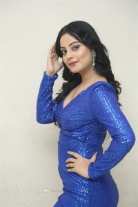 Jewel Thief Movie Heroine Minakshi Jaiswal Stills