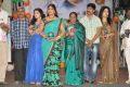 Minugurulu Movie Audio Release Function Photos