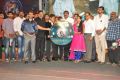 Minugurulu Movie Audio Release Function Stills