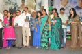 Minugurulu Movie Audio Release Function Photos