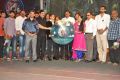 Minugurulu Movie Audio Release Function Stills