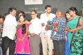 Minugurulu Movie Audio Release Function Stills