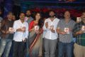 Mirchi Audio Release Function Photos