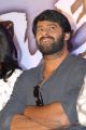 Telugu Actor Prabhas at Mirchi Movie Success Meet Photos