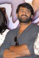 Actor Prabhas at Mirchi Movie Success Meet Photos