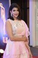 Actress Lakshmi Manchu @ Mirchi Music Awards South 2018 Red Carpet Stills