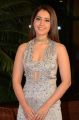 Actress Rashi Khanna @ Mirchi Music Awards South 2018 Red Carpet Stills