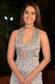 Actress Rashi Khanna @ Mirchi Music Awards South 2018 Red Carpet Stills