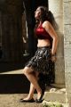 Richa Gangopadhyay Hot Photos in Mirchi Movie