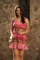 Richa Gangopadhyay Hot Photos in Mirchi Movie