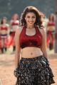 Richa Gangopadhyay Hot Photos in Mirchi Movie