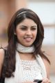 Richa Gangopadhyay Hot Photos in Mirchi Movie