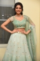 Actress Misha Narang Photos @ Thellavarithe Guruvaram Pre Release